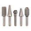 Arbor rasp set, 5 pcs.