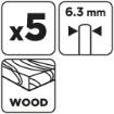 Arbor rasp set, 5 pcs.