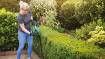 EasyHedgecut 18-45 cordless hedge trimmer 45cm, 1x 2.0Ah battery + charger