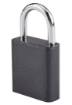 Fingerprint padlock