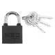 Padlock 30 mm, 3 keys