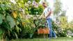 EasyGrassCut 23 - Trimmer 280 W