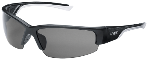 UVEX Polavision 9231960 kaitseprillid UV Polarisatsioonifilter