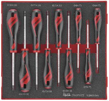 TORX- kruvitsate komplekt TengTools TED909TXN
