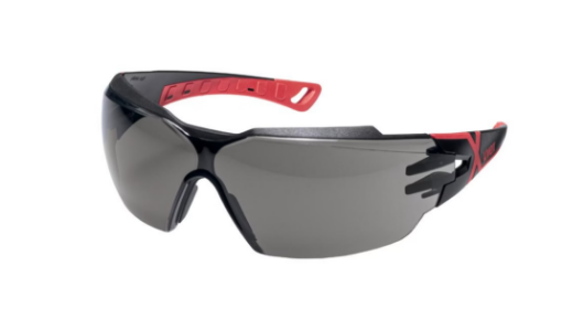 Uvex 9198173 kaitseprillid Pheos cx2 IR-ex hall