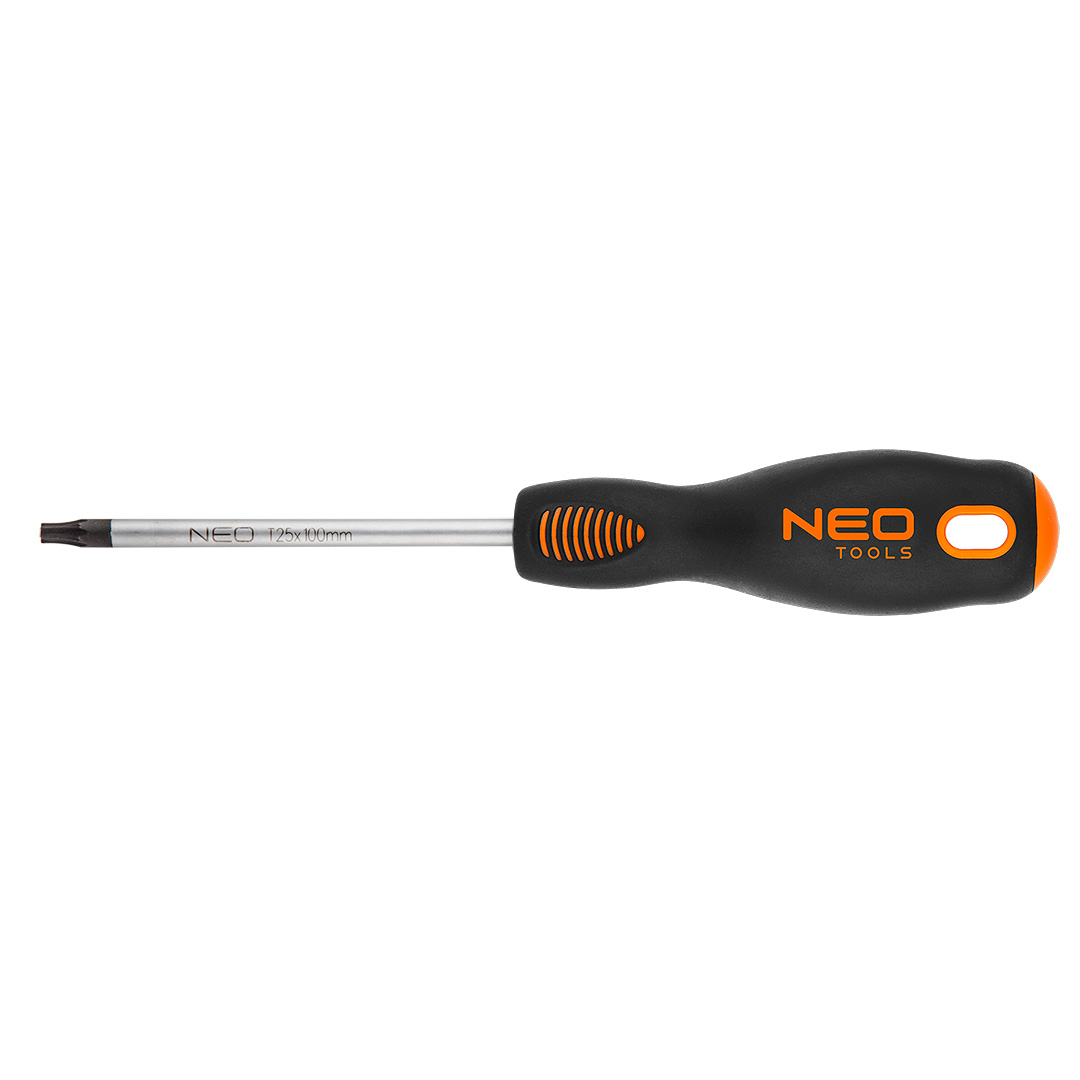 Screwdriver torx T25x100mm