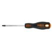 Screwdriver torx T25x100mm