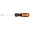 Screwdriver Torx  T27 x 100 mm
