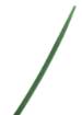 Garden cable ties 4.8 x 300 mm, 50 pcs, green