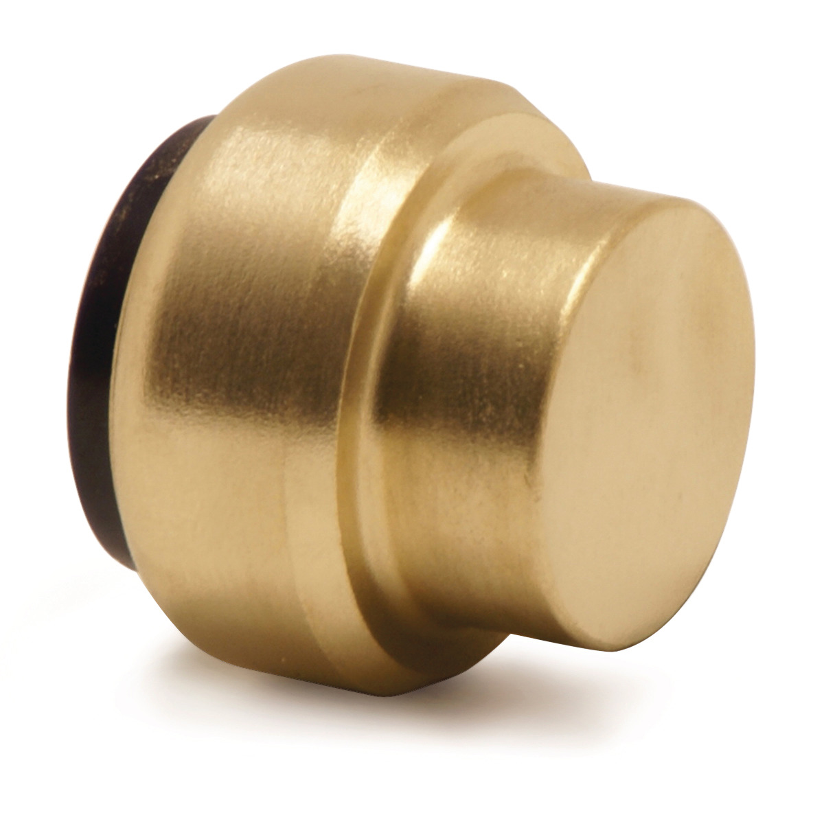 Dummy cap  22 mm