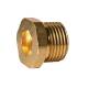 Blind plug  1/8" with hexagon socket